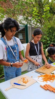 30-zomerschool2025
