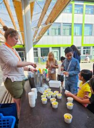 Zomerschool-NL-2026-07