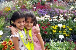 Zomerschool-NL-2026-40