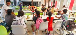 Zomerschool-NL-2026-50